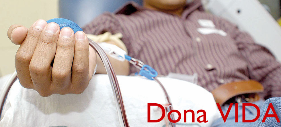 Dona Vida